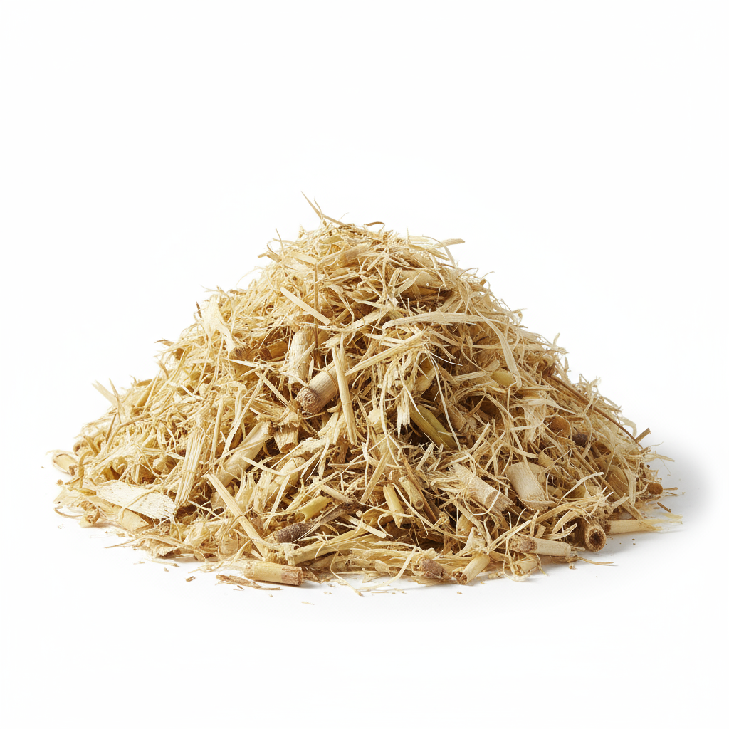 Sugarcane bagasse biomass fuel